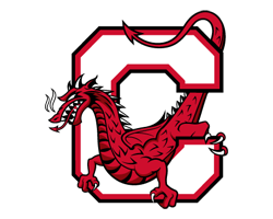 RD Elite Football Camps